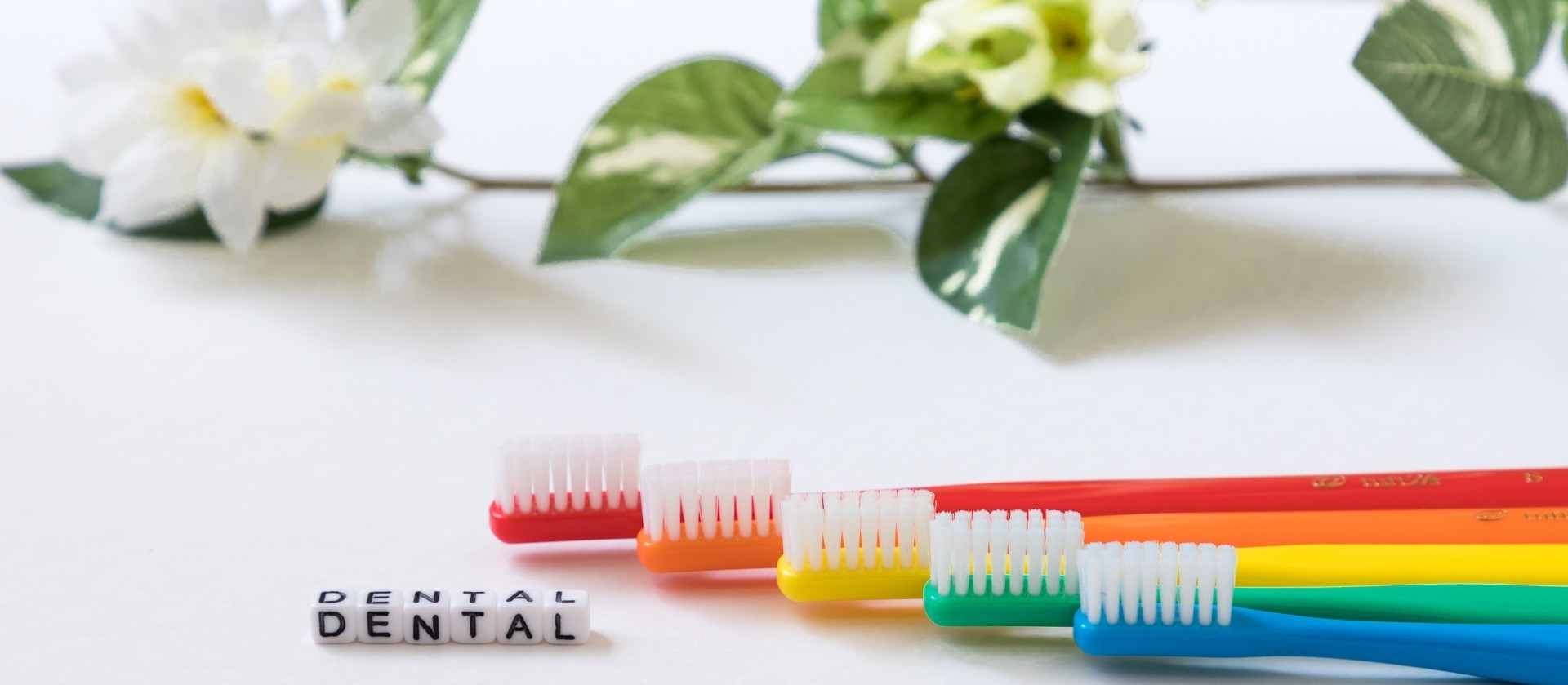 色とりどりの歯ブラシ